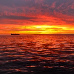 Meet your Posher, Karah